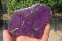 Polished On One Side Metallic Purpurite x 6 From Namibia - Toprock Gemstones and Minerals 