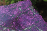 Polished On One Side Metallic Purpurite x 6 From Namibia - Toprock Gemstones and Minerals 