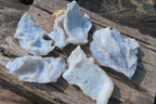 Natural Etched Blue Chalcedony Specimens x 5 From Nsanje, Malawi - Toprock Gemstones and Minerals 