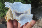Natural Etched Blue Chalcedony Specimens x 5 From Nsanje, Malawi - Toprock Gemstones and Minerals 