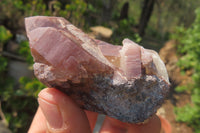 Natural Red Hematoid Quartz Specimens x 24 From Zimbabwe