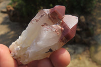Natural Red Hematoid Quartz Specimens x 24 From Zimbabwe
