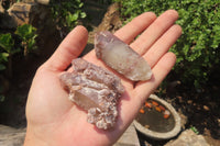 Natural Red Hematoid Quartz Specimens x 24 From Zimbabwe