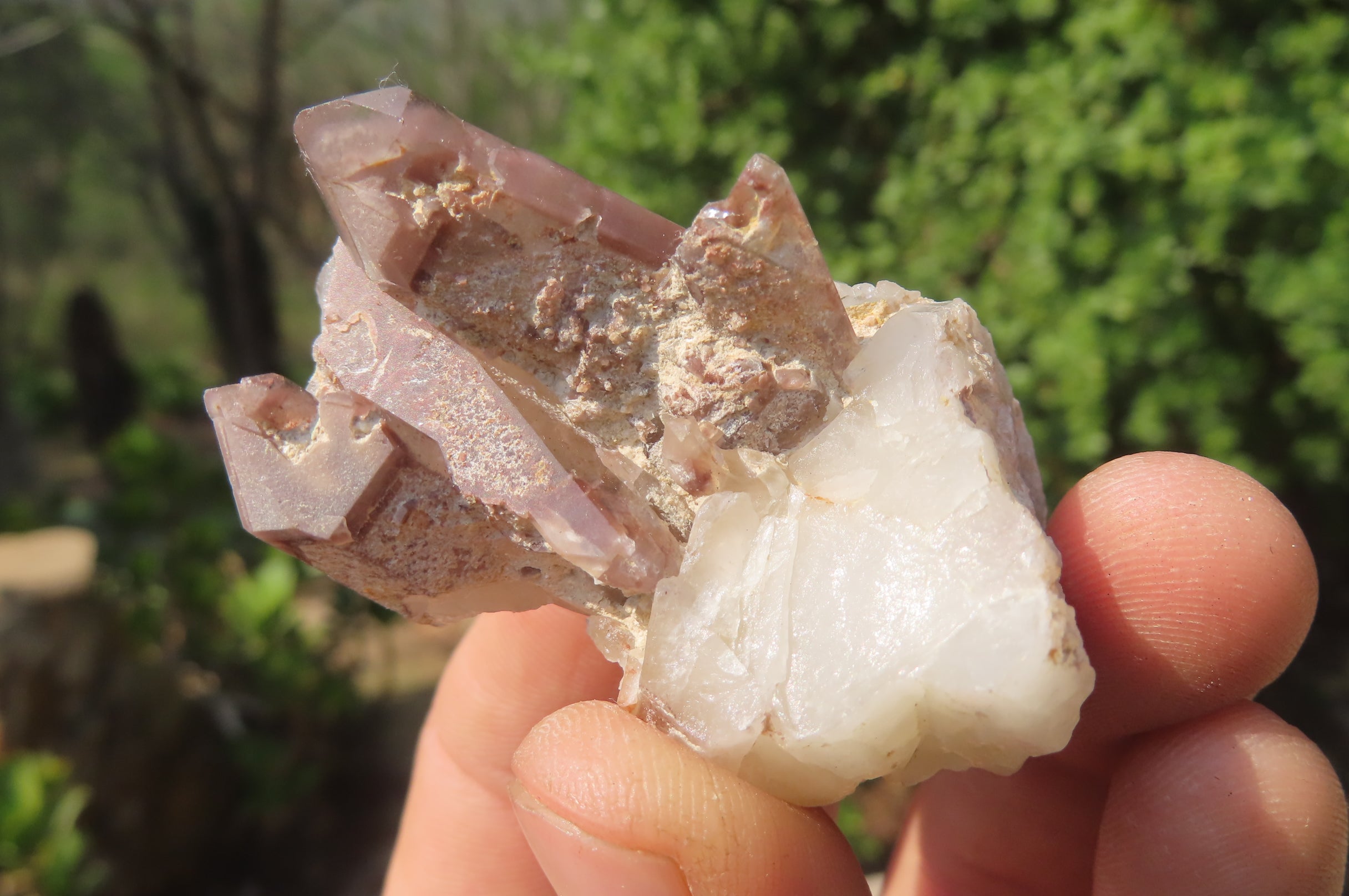 Natural Red Hematoid Quartz Specimens x 24 From Zimbabwe - Toprock Gemstones and Minerals 
