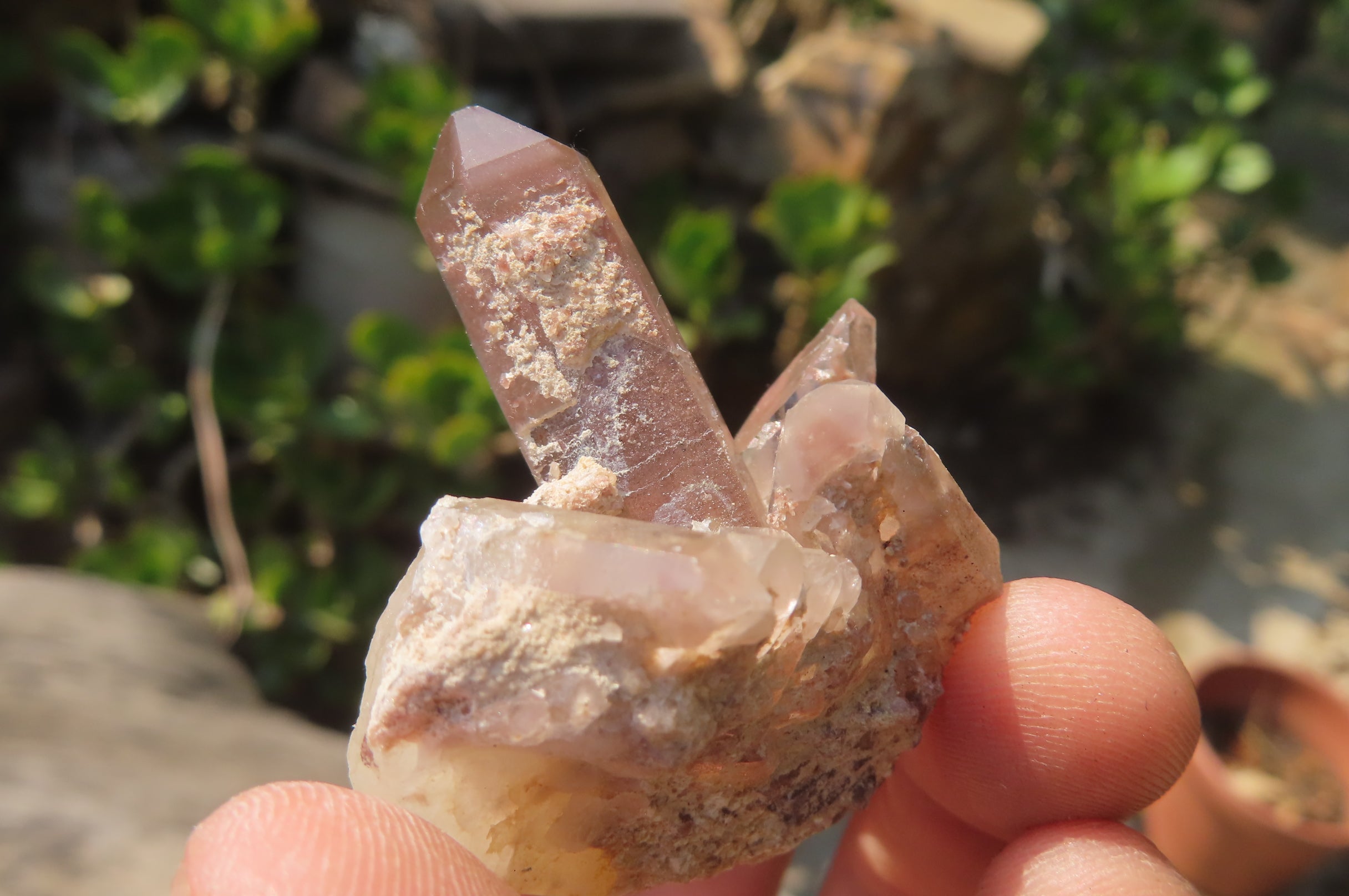 Natural Red Hematoid Quartz Specimens x 24 From Zimbabwe - Toprock Gemstones and Minerals 