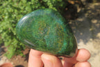 Polished Green Verdite Palm Stones x 12 From Zimbabwe - Toprock Gemstones and Minerals 