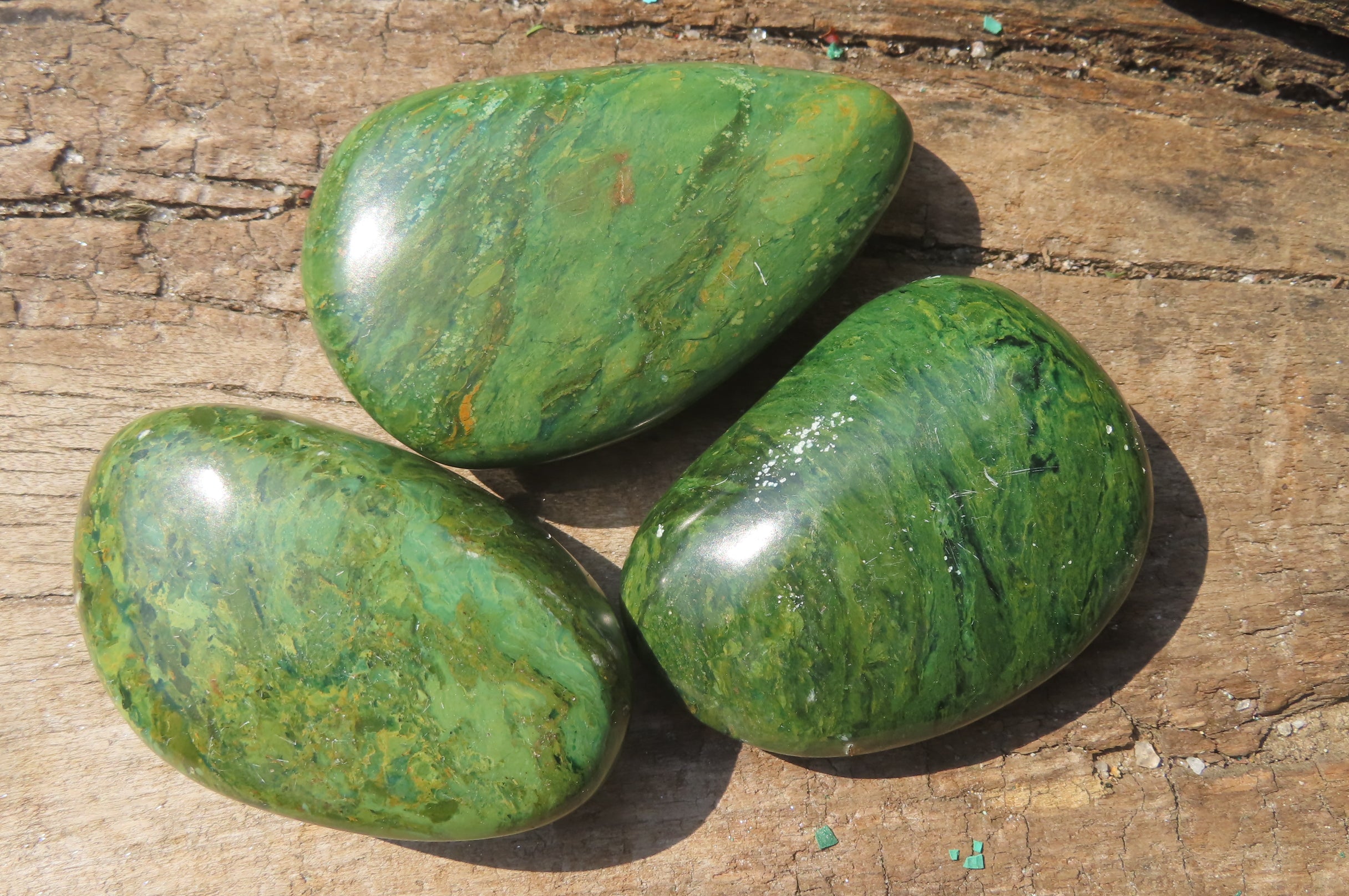 Polished Green Verdite Palm Stones x 12 From Zimbabwe - Toprock Gemstones and Minerals 