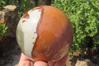 Polished Polychrome Jasper Spheres x 2 From Mahajanga, Madagascar - Toprock Gemstones and Minerals 