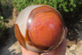 Polished Polychrome Jasper Spheres x 2 From Mahajanga, Madagascar - Toprock Gemstones and Minerals 