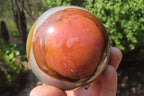 Polished Polychrome Jasper Spheres x 2 From Mahajanga, Madagascar - Toprock Gemstones and Minerals 