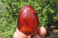 Polished Carnelian Gemstone Eggs x 12 From Madagascar - Toprock Gemstones and Minerals 