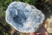 Natural Celestite Geode Specimen x 1 From Sakoany, Madagascar - Toprock Gemstones and Minerals 