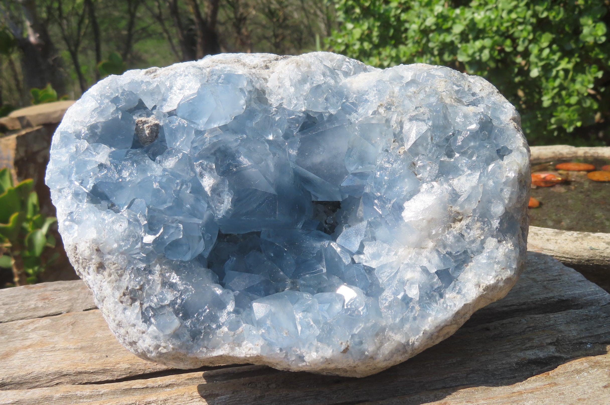 Natural Celestite Geode Specimen x 1 From Sakoany, Madagascar - Toprock Gemstones and Minerals 