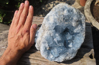 Natural Celestite Geode Specimen x 1 From Sakoany, Madagascar - Toprock Gemstones and Minerals 