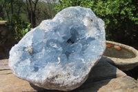 Natural Celestite Geode Specimen x 1 From Sakoany, Madagascar - Toprock Gemstones and Minerals 