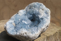 Natural Celestite Geode Specimen x 1 From Sakoany, Madagascar - Toprock Gemstones and Minerals 