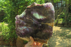 Polished Watermelon Fluorite Slice x 1 From Uis, Namibia - Toprock Gemstones and Minerals 