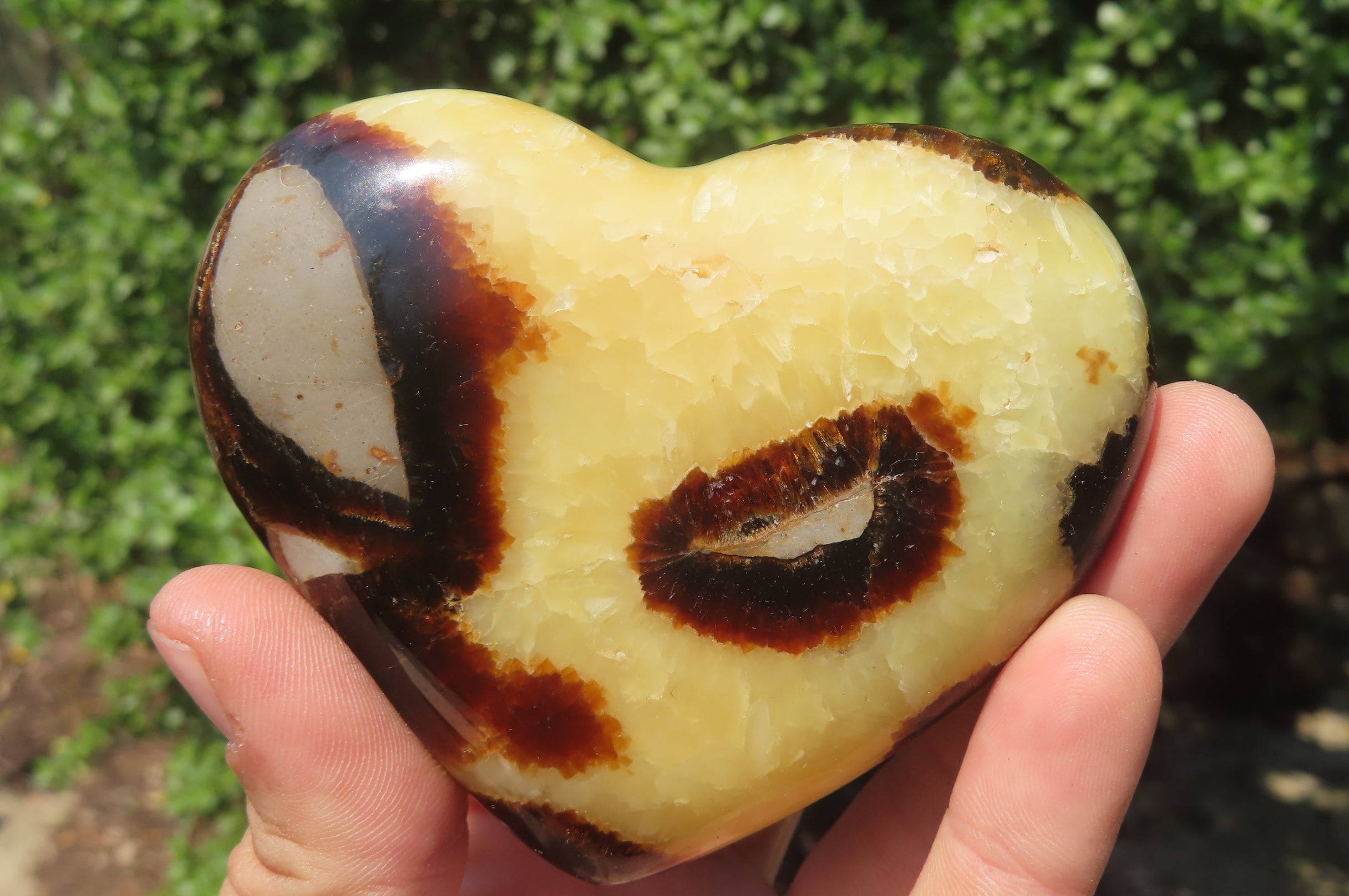 Polished Septerye Gemstone Hearts x 6 From Madagascar - Toprock Gemstones and Minerals 