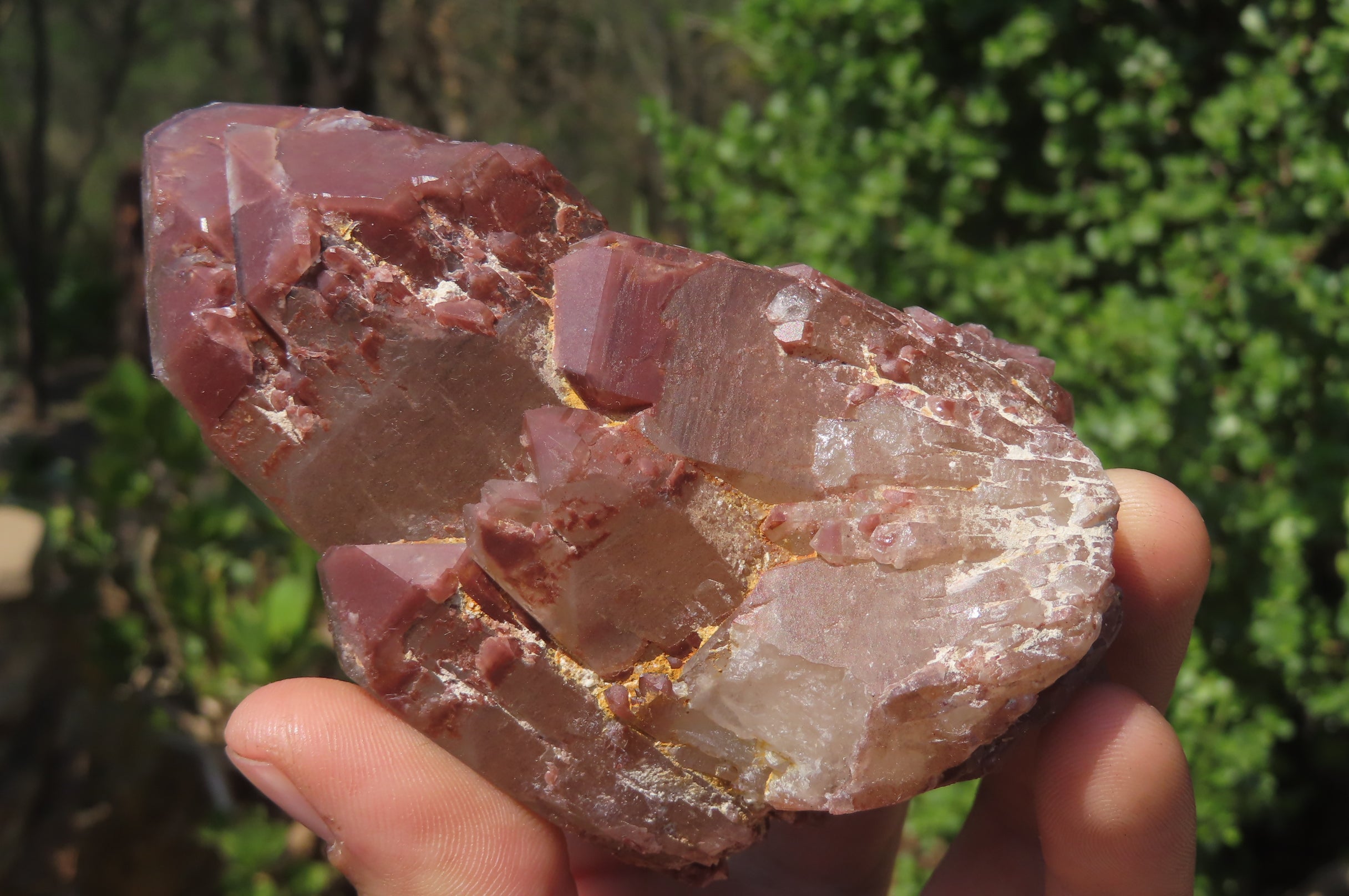 Natural Red Hematoid Quartz Clusters x 6 From Karoi, Zimbabwe - Toprock Gemstones and Minerals 