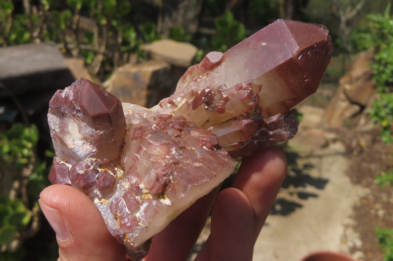 Natural Red Hematoid Quartz Clusters x 6 From Karoi, Zimbabwe - Toprock Gemstones and Minerals 