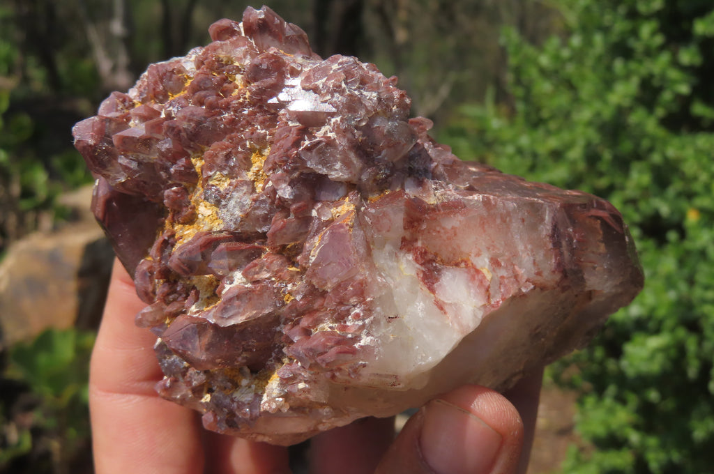 Natural Red Hematoid Quartz Clusters x 6 From Karoi, Zimbabwe - Toprock Gemstones and Minerals 
