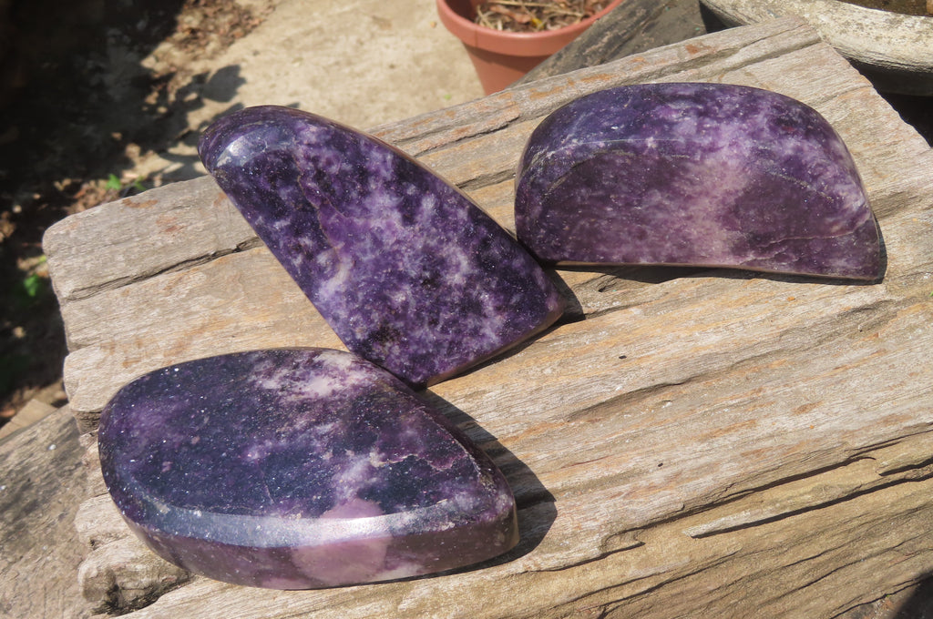 Polished Lepidolite Free Forms x 3 From Zimbabwe - Toprock Gemstones and Minerals 