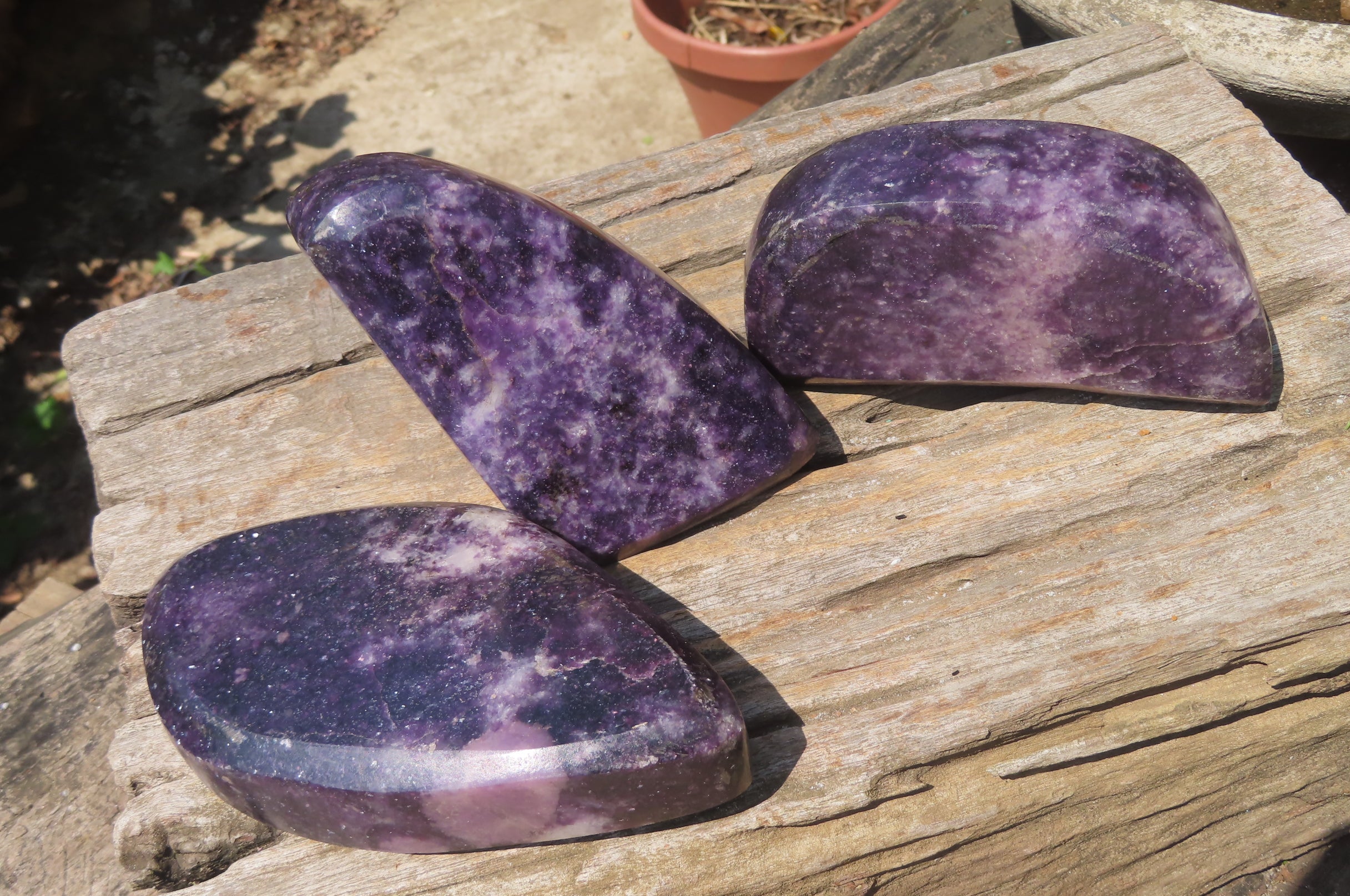 Polished Lepidolite Free Forms x 3 From Zimbabwe - Toprock Gemstones and Minerals 