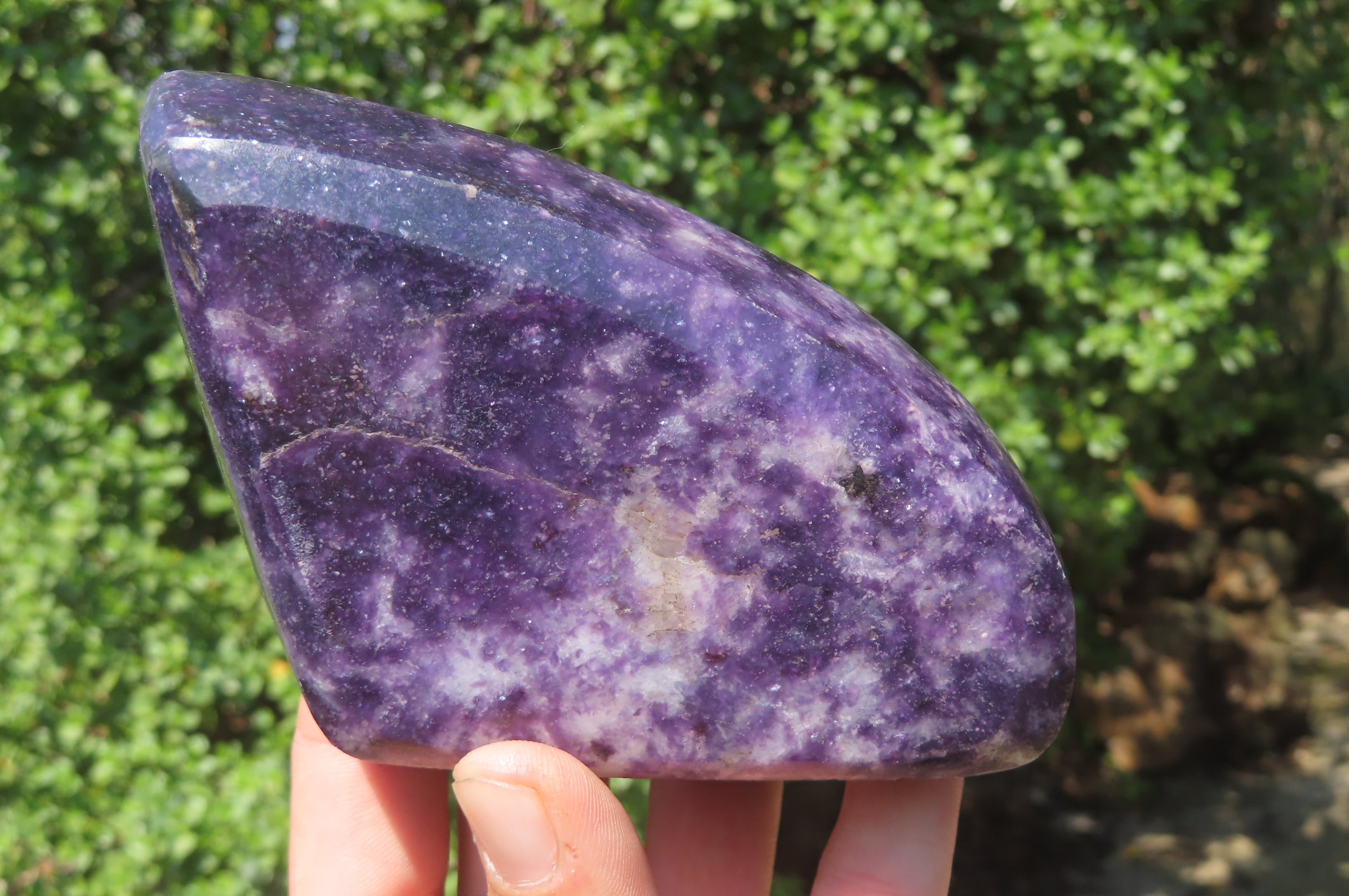 Polished Lepidolite Free Forms x 3 From Zimbabwe - Toprock Gemstones and Minerals 