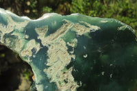 Polished On One Side Emerald Mtorolite x 5 From Mutorashanga, Zimbabwe - Toprock Gemstones and Minerals 