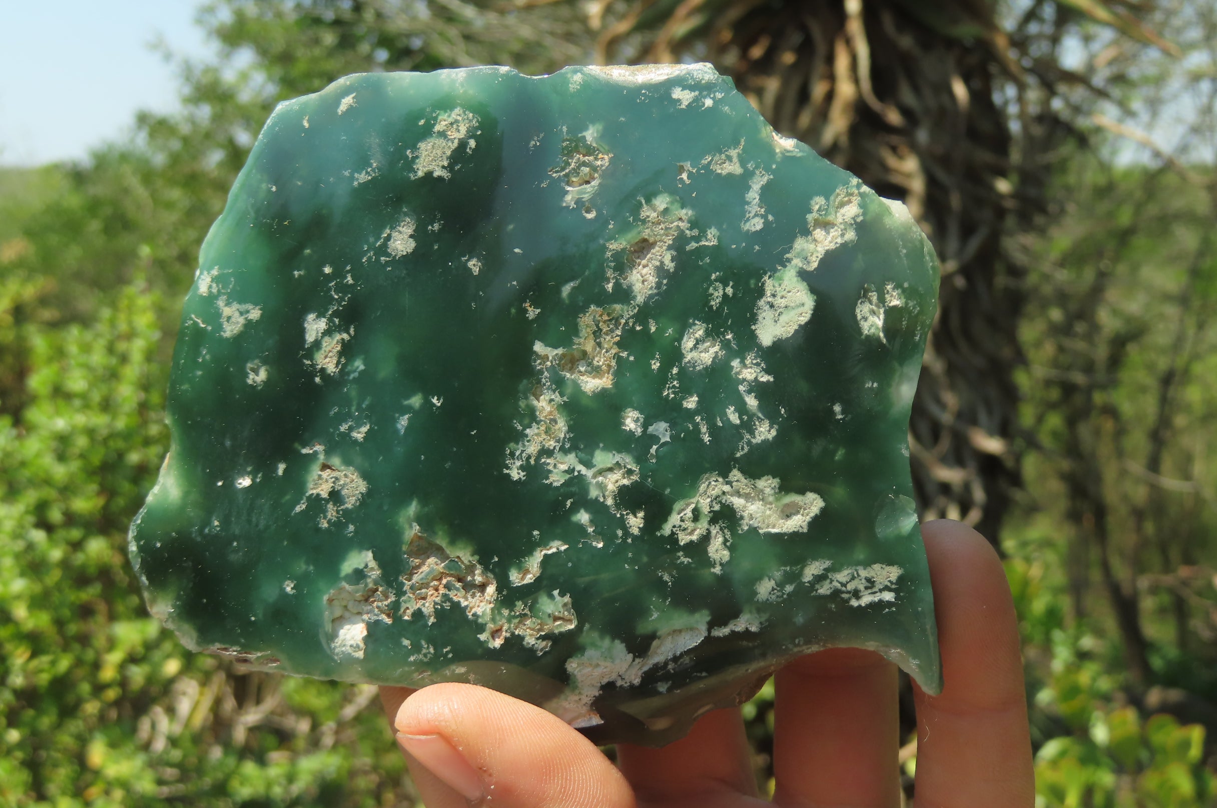 Polished On One Side Emerald Mtorolite x 5 From Mutorashanga, Zimbabwe - Toprock Gemstones and Minerals 