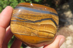 Polished Tigers Eye Free Forms x 3 From South Africa - Toprock Gemstones and Minerals 