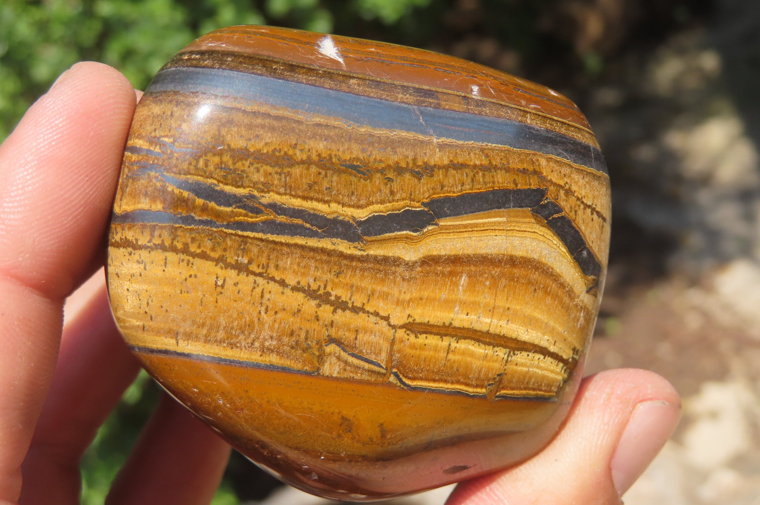 Polished Tigers Eye Free Forms x 3 From South Africa - Toprock Gemstones and Minerals 