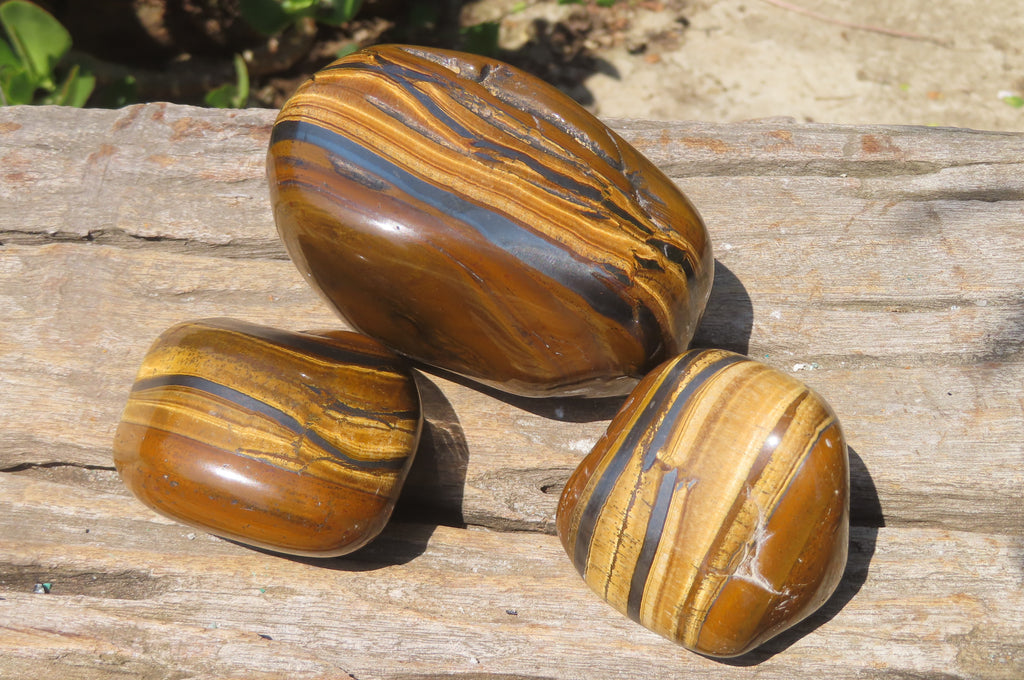 Polished Tigers Eye Free Forms x 3 From South Africa - Toprock Gemstones and Minerals 