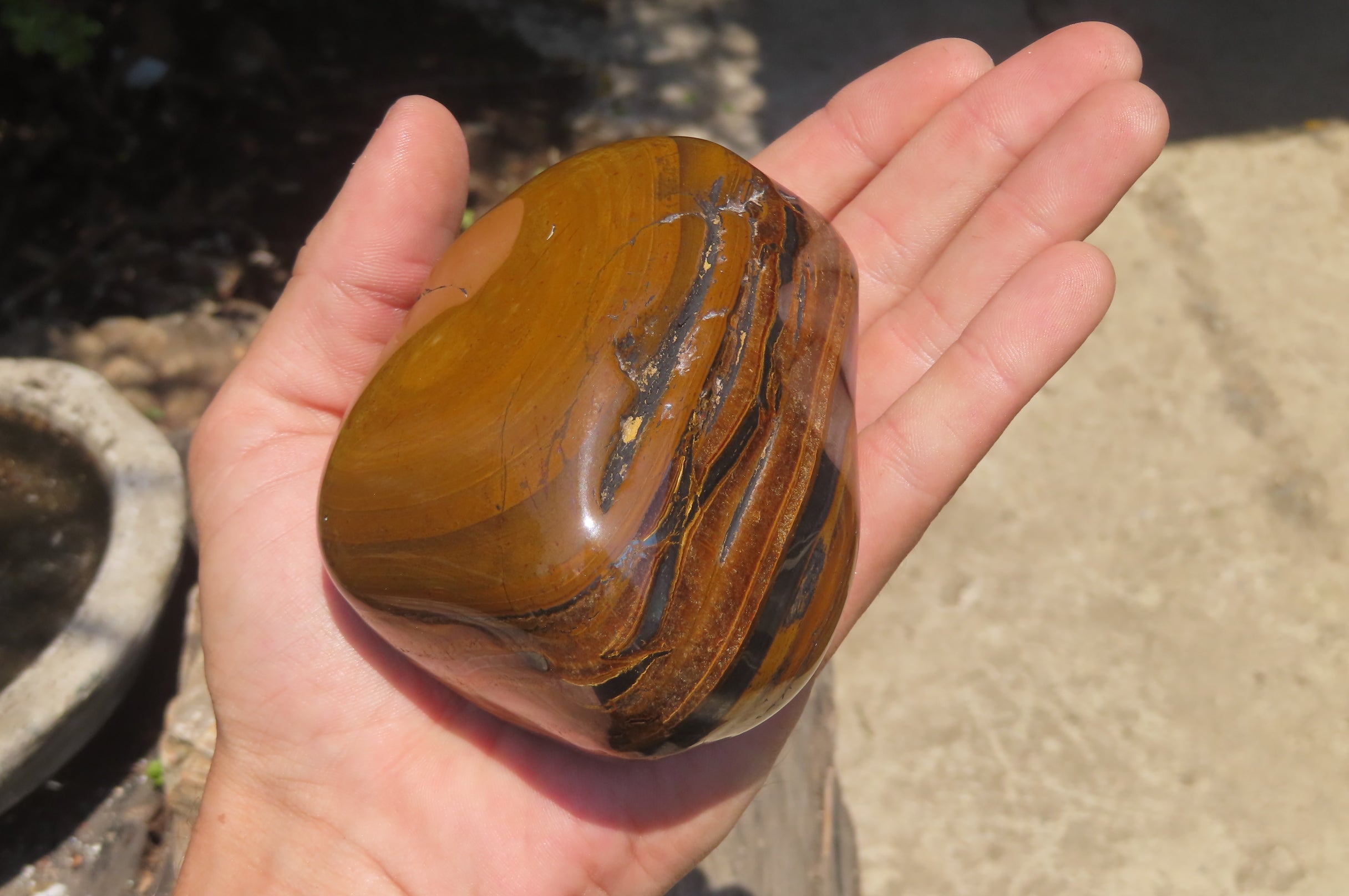 Polished Tigers Eye Free Forms x 3 From South Africa - Toprock Gemstones and Minerals 