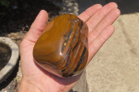 Polished Tigers Eye Free Forms x 3 From South Africa