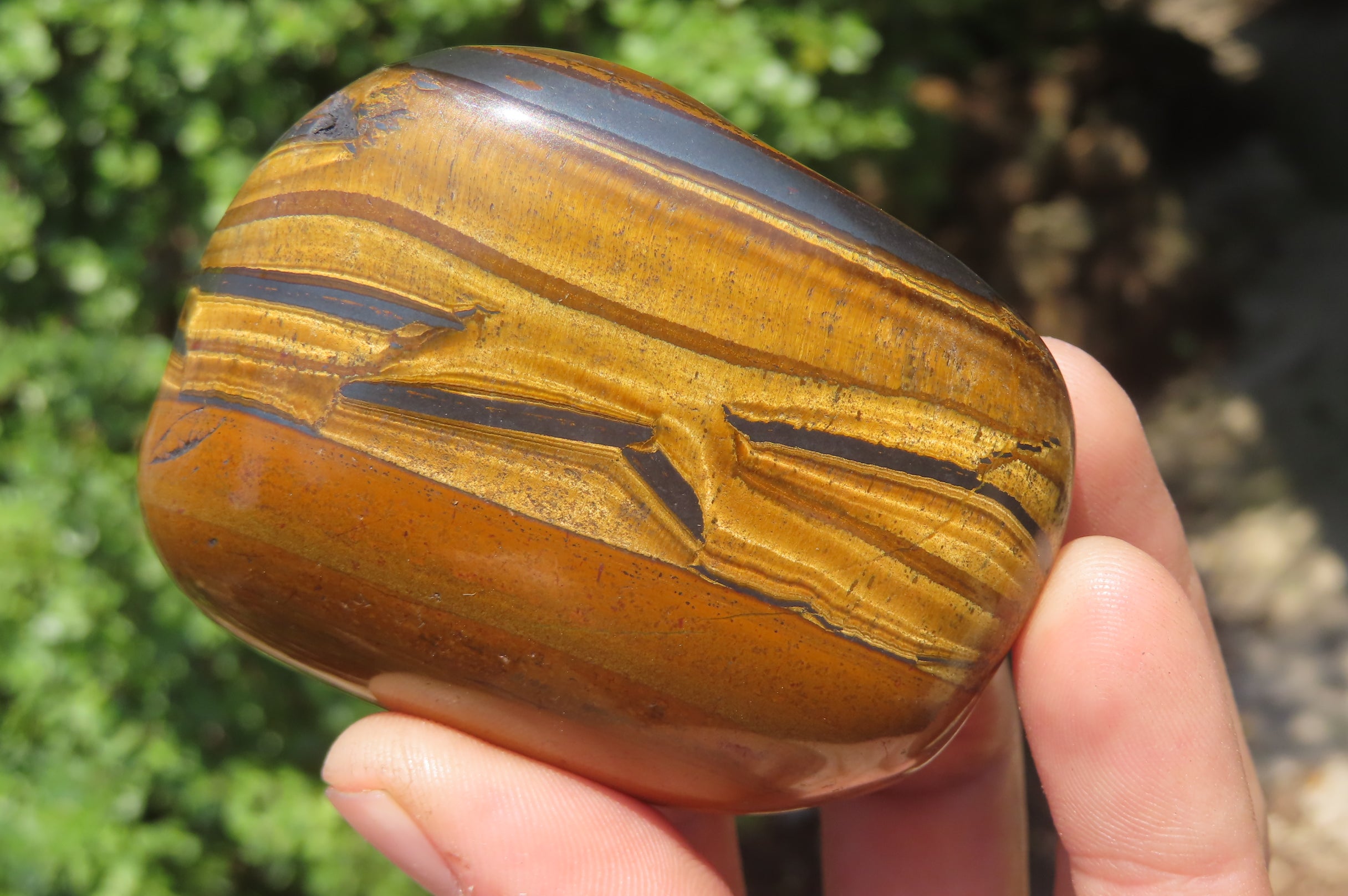Polished Tigers Eye Free Forms x 3 From South Africa - Toprock Gemstones and Minerals 