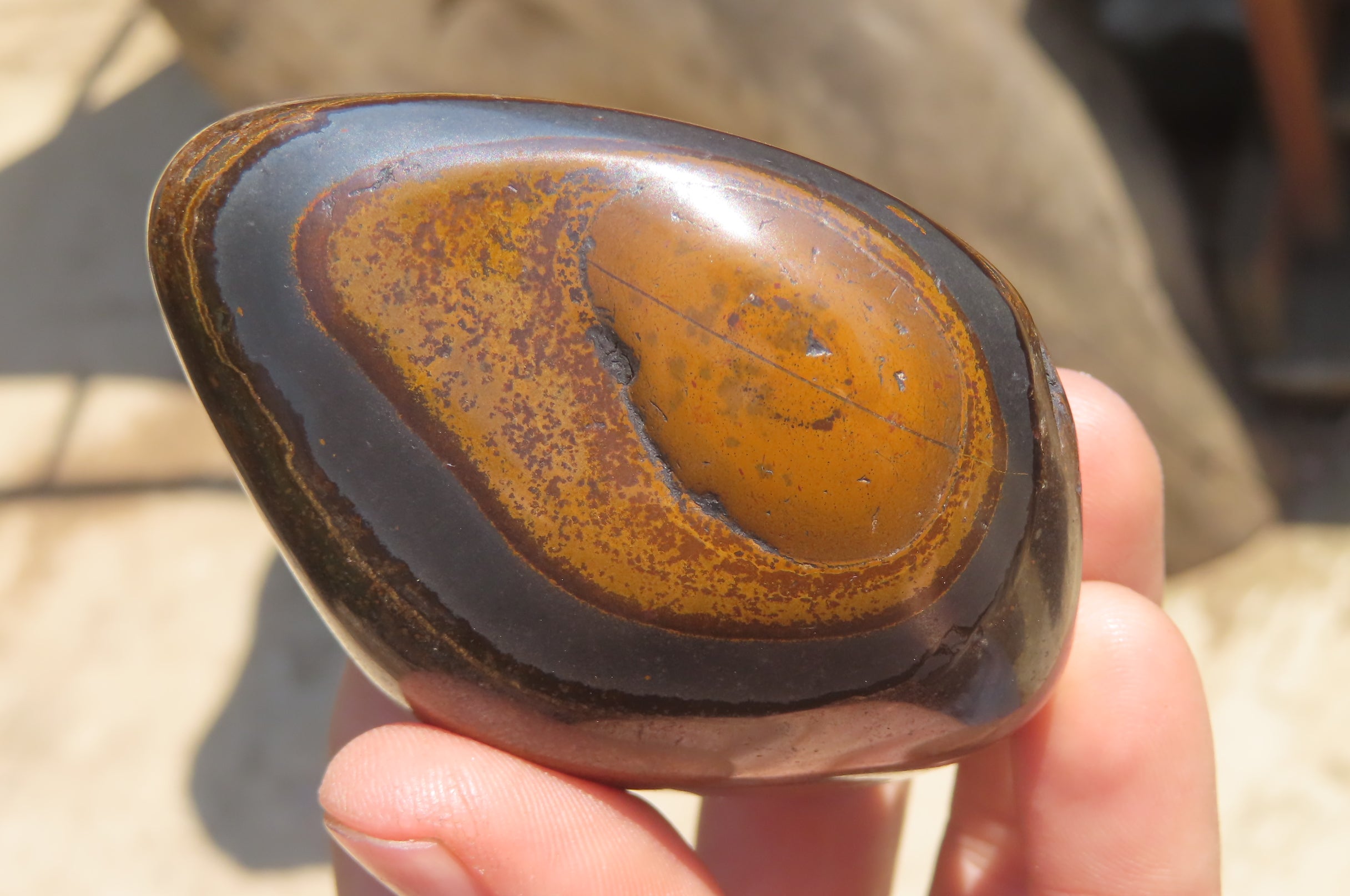 Polished Tigers Eye Free Forms x 3 From South Africa - Toprock Gemstones and Minerals 