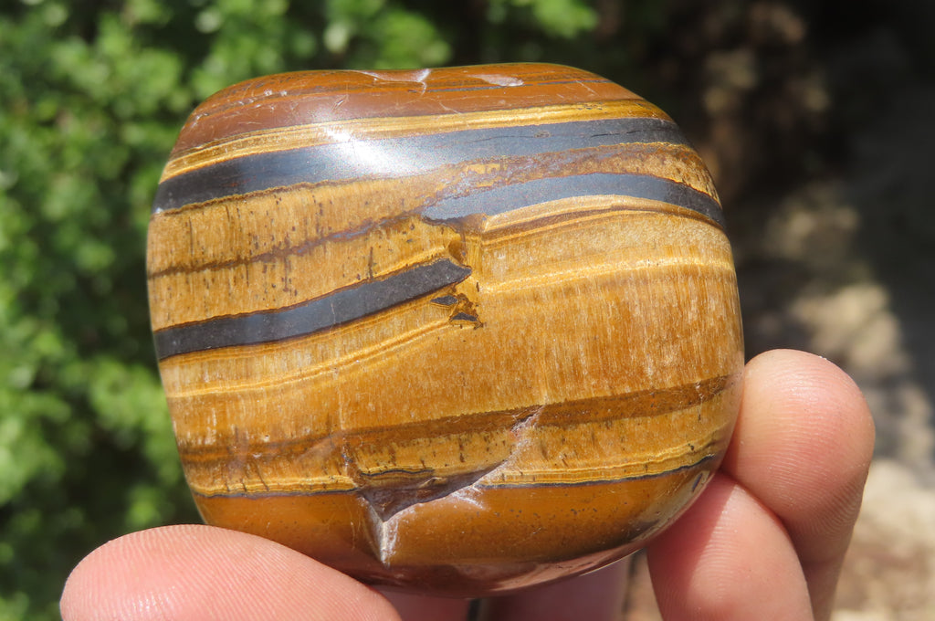 Polished Tigers Eye Free Forms x 3 From South Africa - Toprock Gemstones and Minerals 