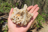 Natural Fairy Spirit Quartz Clusters x 8 From Boekenhouthoek, South Africa - Toprock Gemstones and Minerals 