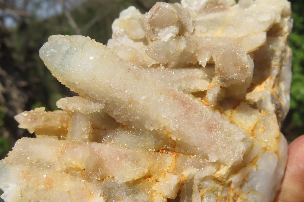 Natural Fairy Spirit Quartz Clusters x 8 From Boekenhouthoek, South Africa - Toprock Gemstones and Minerals 