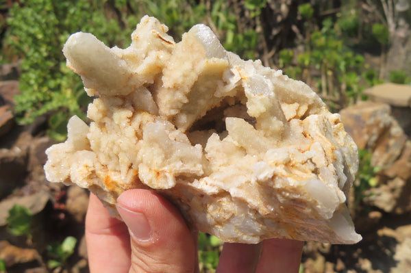 Natural Fairy Spirit Quartz Clusters x 8 From Boekenhouthoek, South Africa - Toprock Gemstones and Minerals 