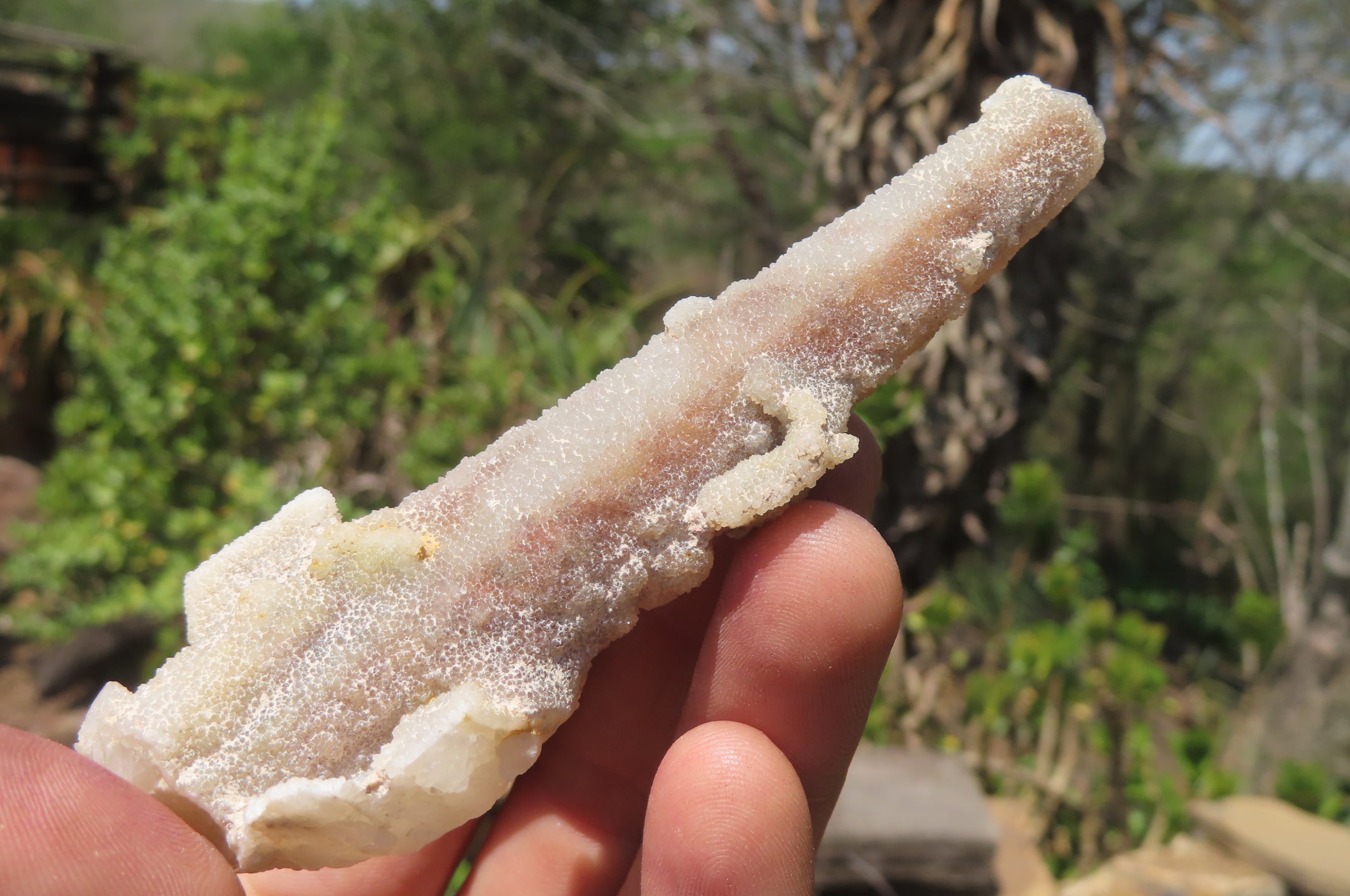 Natural Fairy Spirit Quartz Clusters x 8 From Boekenhouthoek, South Africa - Toprock Gemstones and Minerals 