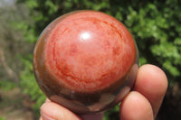 Polished Polychrome Jasper Spheres x 6 From Madagascar - Toprock Gemstones and Minerals 