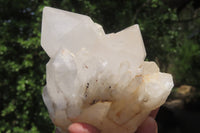 Natural Pineapple Quartz Crystal Specimens x 4 From Antsirabe, Madagascar - Toprock Gemstones and Minerals 