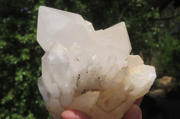 Natural Pineapple Quartz Crystal Specimens x 4 From Antsirabe, Madagascar - Toprock Gemstones and Minerals 