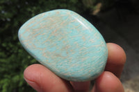Polished Amazonite Free Forms x 20 From Zimbabwe