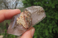 Polished Smokey Window Quartz Crystals x 6 From Madagascar - Toprock Gemstones and Minerals 