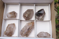 Polished Smokey Window Quartz Crystals x 6 From Madagascar - Toprock Gemstones and Minerals 