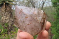 Polished Smokey Window Quartz Crystals x 6 From Madagascar - Toprock Gemstones and Minerals 