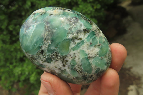 Polished Rare Emerald Mica In Matrix Free Forms x 6 From Mutoko, Zimbabwe - Toprock Gemstones and Minerals 